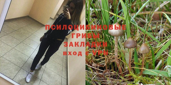 ПСИЛОЦИБИНОВЫЕ ГРИБЫ Алзамай