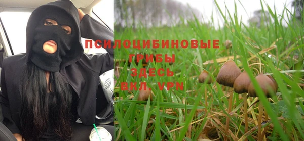 ПСИЛОЦИБИНОВЫЕ ГРИБЫ Алзамай